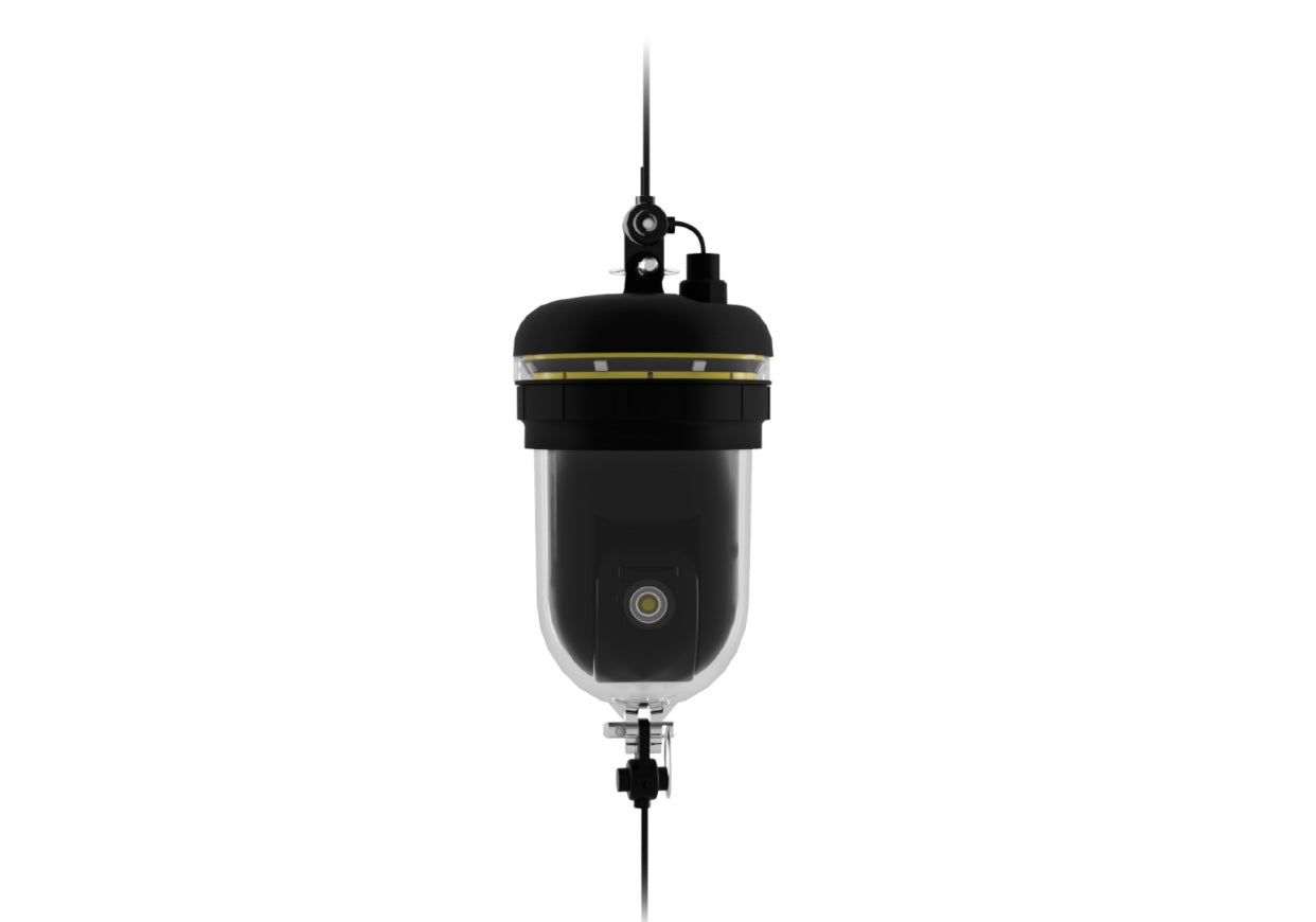 Chasing Underwater Drone - 360 Camera