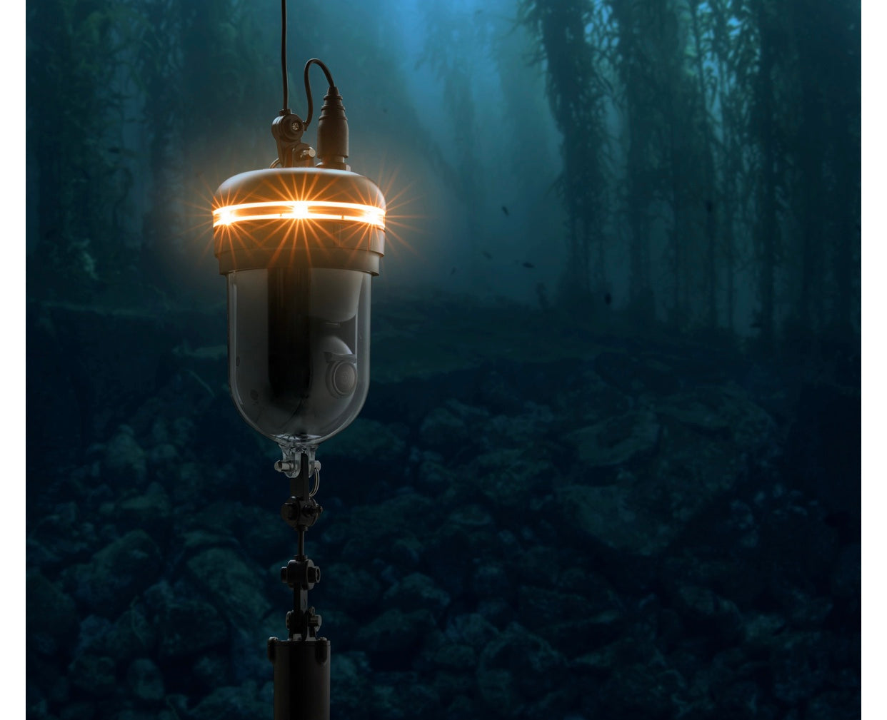 Chasing Underwater Drone - 360 Camera