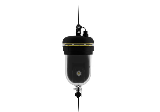 Chasing Underwater Drone - 360 Camera
