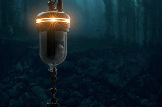Chasing Underwater Drone - 360 Camera